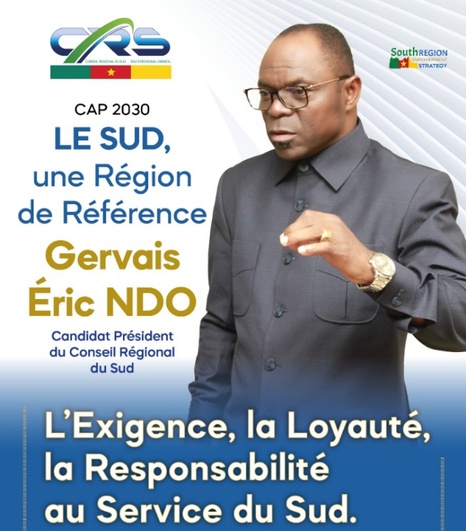 Cameroun:les Accusations Contre Éric Gervais Ndo, Sont une Manœuvre Politique