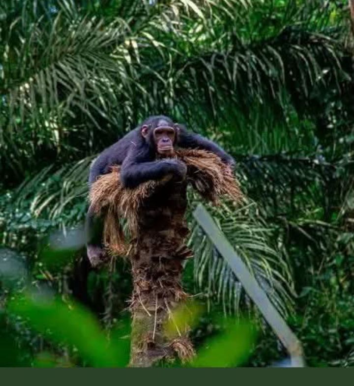 ROUTE EBOLOWA - AKOM 2- KRIBI : Scandale au sein de La commission de constat et dévaluation .