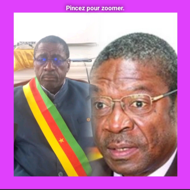 CAMEROUN CONCUSSION DANS LE SECTEUR DE LA PUBLICITÉ : LES MAIRIES DE YAOUNDÉ ET DOUALA POINTÉES DU DOIGT.