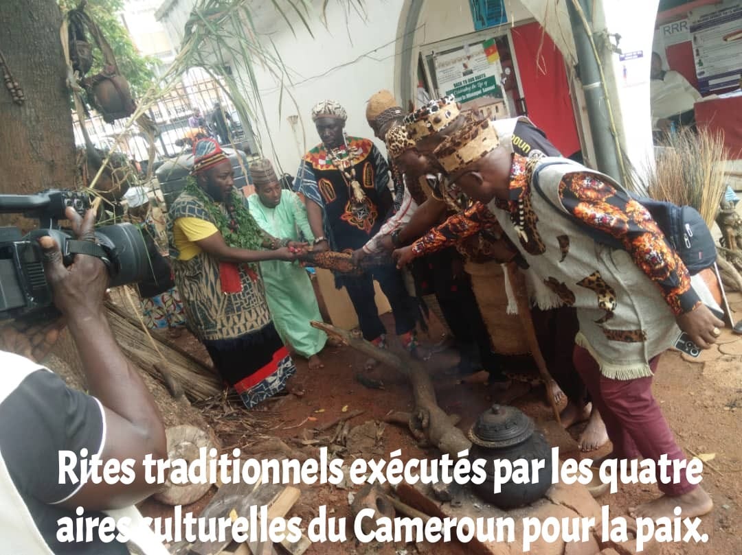 Back to our Roots  :Un centre de médecine traditionnelle au cœur du musée national du Cameroun