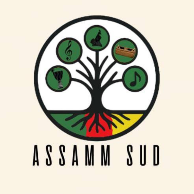 ASSAMM SUD:     LAssociation des Artistes Musiciens et Mélomanes du Sud se relance .